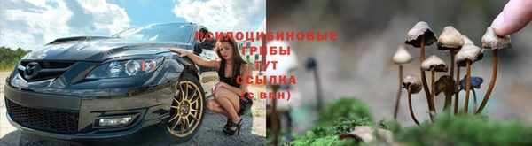 прущий лед Заводоуковск
