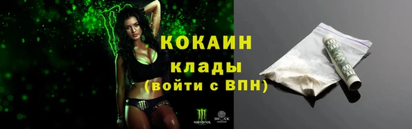 ALPHA PVP Елизово