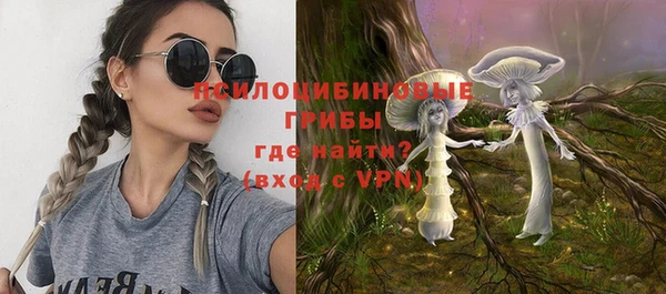 герыч Ельня