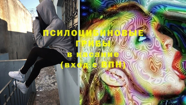 герыч Ельня