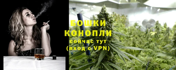 ALPHA PVP Елизово