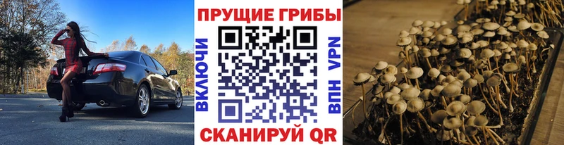 купить наркотики сайты  Избербаш  Галлюциногенные грибы мухоморы 